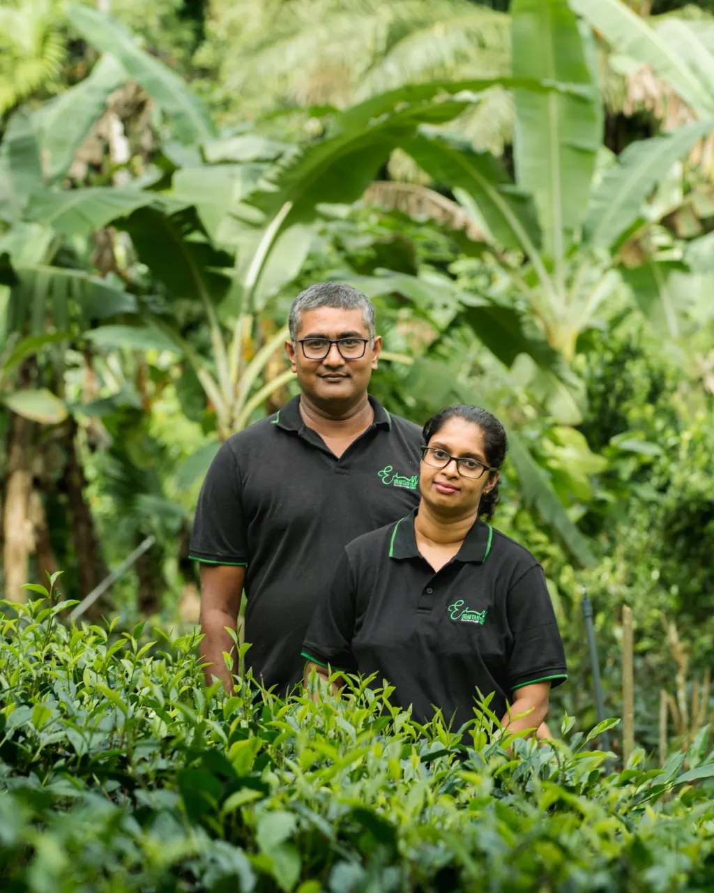 The makers of Shakyan Tea Valley